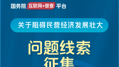 操50老逼视频国务院“互联网+督查”平台公开征集阻碍民营经济发展壮大问题线索